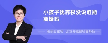 小孩子抚养权没说谁能离婚吗