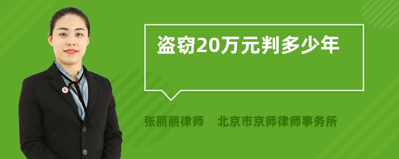 盗窃20万元判多少年