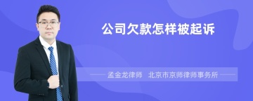 公司欠款怎样被起诉