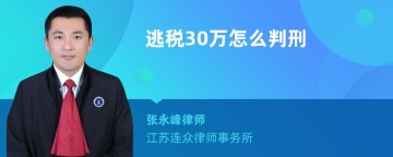 逃税30万怎么判刑