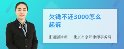 欠钱不还3000怎么起诉