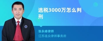 逃税3000万怎么判刑