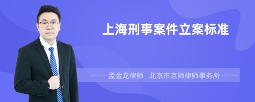 上海刑事案件立案标准