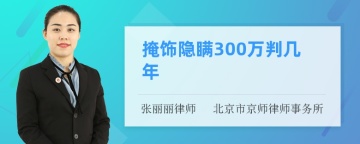 掩饰隐瞒300万判几年