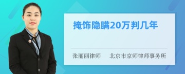 掩饰隐瞒20万判几年