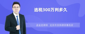 逃税300万判多久