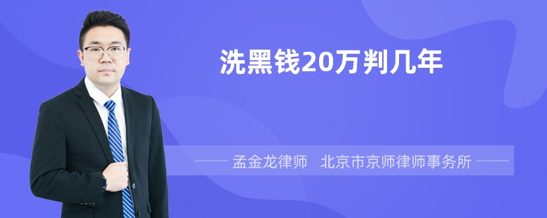 洗黑钱20万判几年