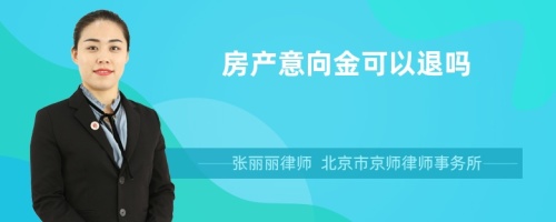 房产意向金可以退吗