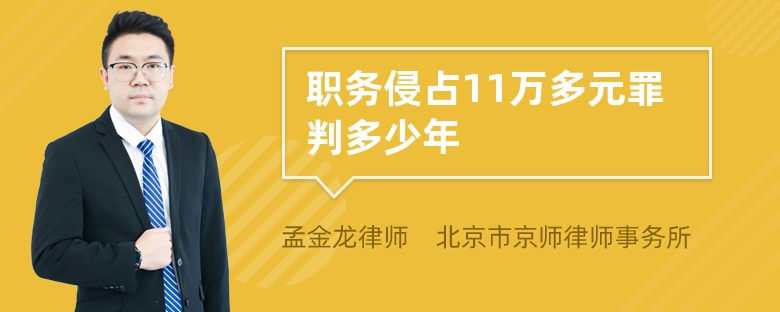 职务侵占11万多元罪判多少年