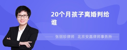 20个月孩子离婚判给谁