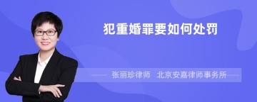 犯重婚罪要如何处罚