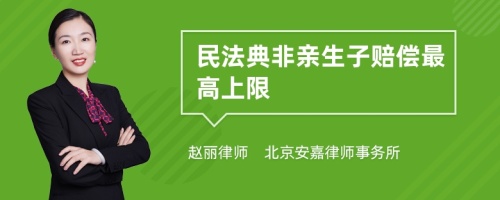 民法典非亲生子赔偿最高上限