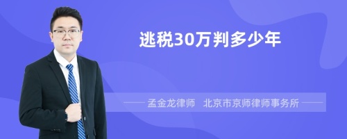 逃税30万判多少年