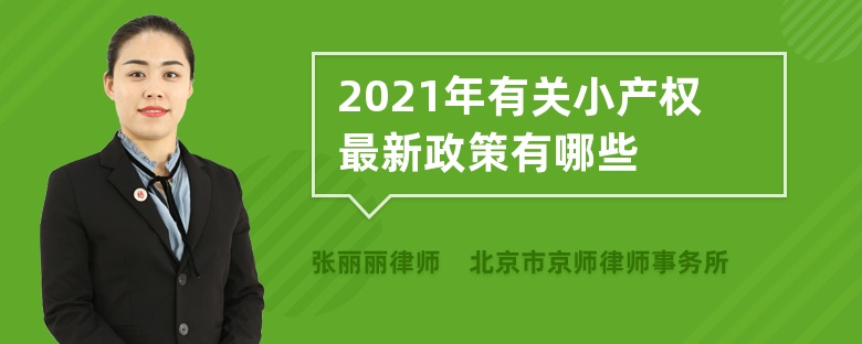 2021年有关小产权最新政策有哪些