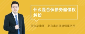 什么是合伙债务追偿权纠纷