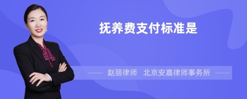 抚养费支付标准是