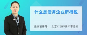 什么是债务企业所得税