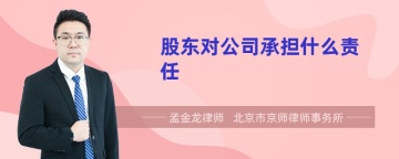 股东对公司承担什么责任