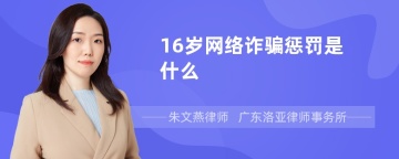 16岁网络诈骗惩罚是什么