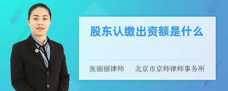 股东认缴出资额是什么