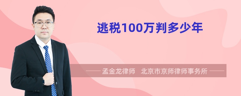 逃税100万判多少年