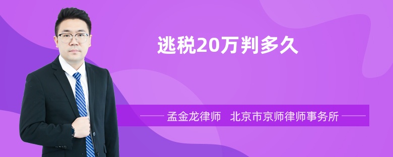 逃税20万判多久