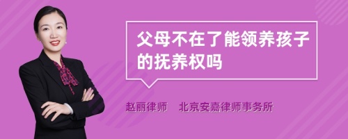 父母不在了能领养孩子的抚养权吗