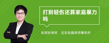 打到轻伤还算家庭暴力吗