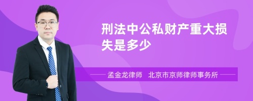 刑法中公私财产重大损失是多少