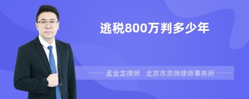 逃税800万判多少年