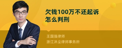 欠钱100万不还起诉怎么判刑