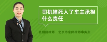 司机撞死人了车主承担什么责任