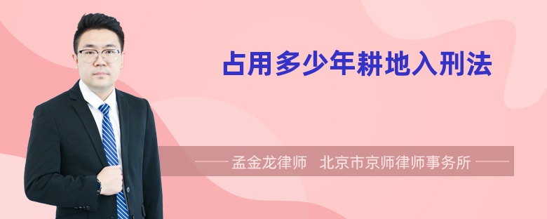 占用多少年耕地入刑法