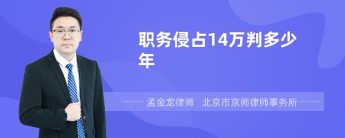 职务侵占14万判多少年