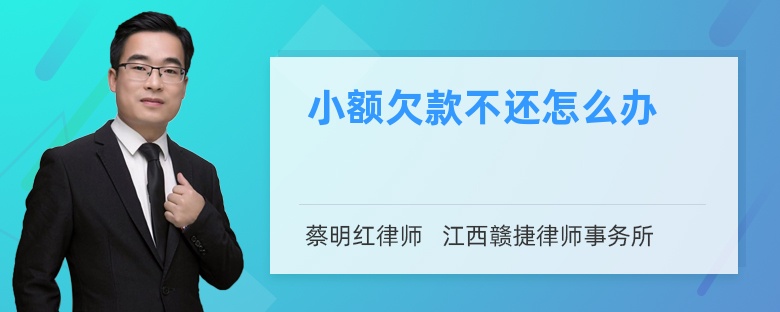 小额欠款不还怎么办