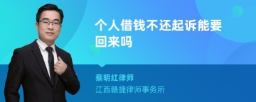 个人借钱不还起诉能要回来吗