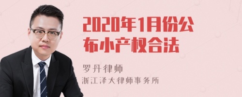 2020年1月份公布小产权合法