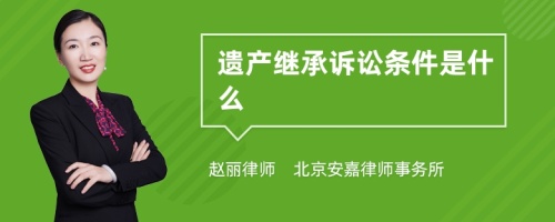 遗产继承诉讼条件是什么