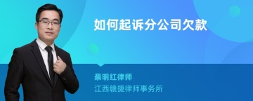 如何起诉分公司欠款