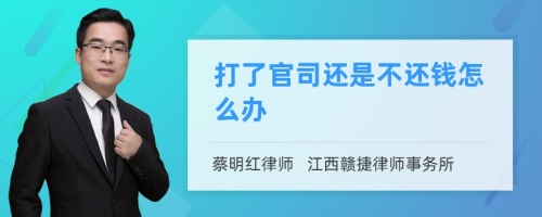 打了官司还是不还钱怎么办