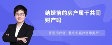 结婚前的房产属于共同财产吗