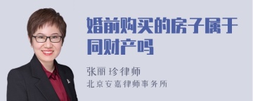 婚前购买的房子属于共同财产吗