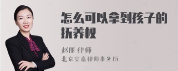 怎么可以拿到孩子的抚养权