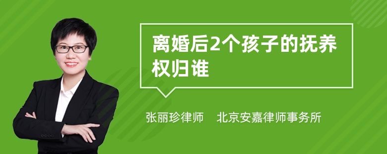 离婚后2个孩子的抚养权归谁