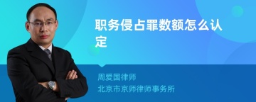 职务侵占罪数额怎么认定