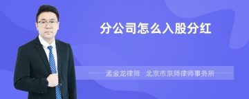 分公司怎么入股分红