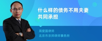 什么样的债务不用夫妻共同承担