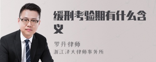 缓刑考验期有什么含义