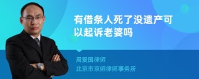 有借条人死了没遗产可以起诉老婆吗