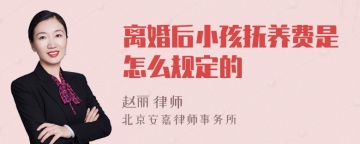 离婚后小孩抚养费是怎么规定的